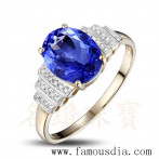 gemring_185