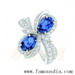 gemring_300